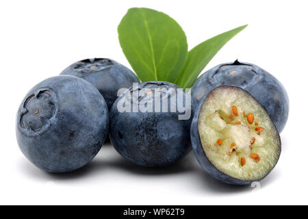 Frische Heidelbeeren mit Blättern auf weißem Hintergrund Stockfoto