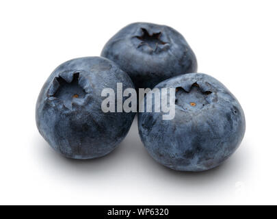 Gruppe von frischen Heidelbeeren isoliert auf weißem Hintergrund Stockfoto