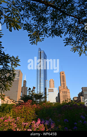 Chicago, Illinois 08-09-19 Gebäude von Zweigen und Blumen im Millennium Park auf klaren, wolkenlosen frühen Sommermorgen eingerahmt. Stockfoto