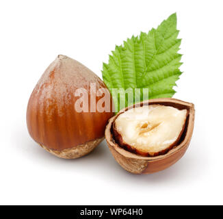 Gruppe von Haselnüssen mit grünen Blättern auf weißem Hintergrund Stockfoto