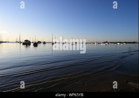 Chicago, Illinois - 08-09-19 Yachten in Monroe Harbor verankert am Lake Michigan an ruhigen wolkenlosen frühen Sommermorgen. Stockfoto