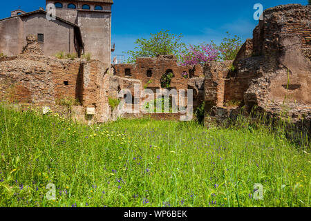 Nymphäum und angrenzendem Zisternen auf dem Palatin in Rom Stockfoto