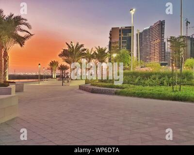 Cartoon-effekt PARK BEI NACHT DATUM BAUM SONNENUNTERGANG ROT GOLDEN SKY gesättigte Farben NYC USA Stockfoto