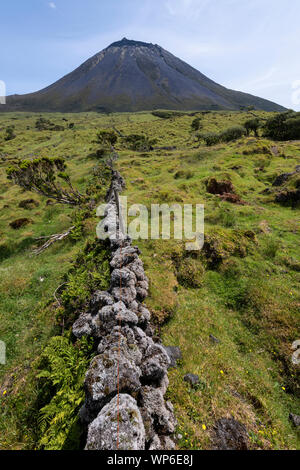 Landschaft mit Ponta do Pico (Pico Berg), Portugals höchsten Berg und Vulkan, mit lavastein Wände im Vordergrund, Azoren Stockfoto