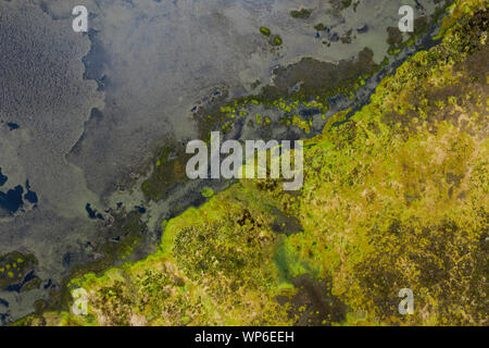 Antenne abstraktes Bild von Wasser und Algen Muster bei Lagoa Branca caldera Crater Lake auf der Azoren Insel Ilha das Flores, Portugal Stockfoto