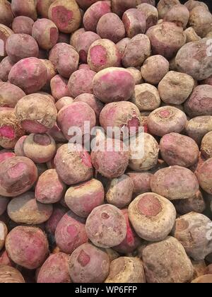 Rohe rote Bete IN EIN BAUER STORE Stockfoto