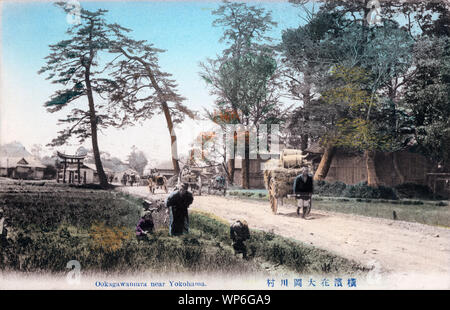 [1900s Japan - Japanische Landschaft in der Nähe von Yokohama] - ein Landwirt Ziehen einer daihachiguruma Warenkorb in Ookagawamura (大岡川村) in der Nähe von Yokohama in der Präfektur Kanagawa. Auf der Rückseite eine heilige Torii-tor sichtbar ist. Ookagawamura Dorf existierte als getrennte Einheit von 1889 (Meiji 22) durch 1927 (Showa 2). Die Gegend ist jetzt Teil von Yokohama von Minami-ku. 20. jahrhundert alte Ansichtskarte. Stockfoto