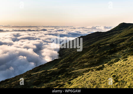 Sunrise Landschaft mit Wolken an der Nordostküste der Insel Pico, Ilha do Pico, mit einer Fülle von Blüten rosa (Pinkhead smartweed, Persicaria Stockfoto