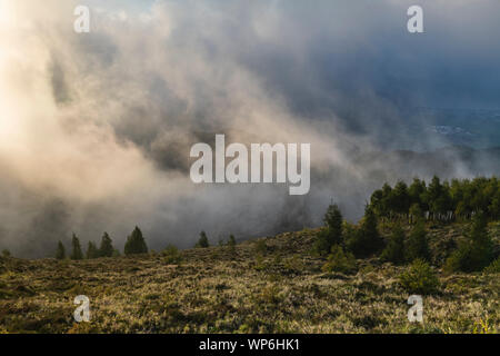 Tolles Licht und Nebel über der Landschaft mit Wäldern auf die kraterwände von Lagoa do Fogo auf Sao Miguel, Azoren Stockfoto