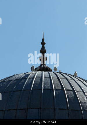 Low Angle View einer Gruppe von Möwen gemächlich an der Kuppel eines mittelalterlichen Gebäudes am Mittag warten. Stockfoto