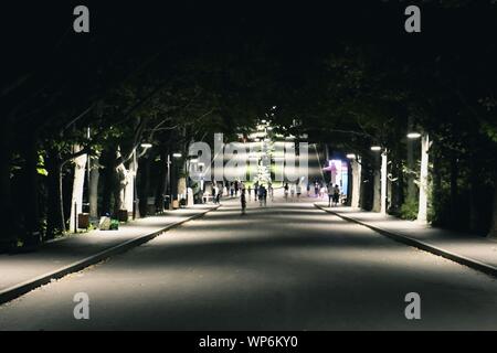 IASI, Rumänien - 24.August 2019: Nacht im Park. Park von Valea Trandafirilor in Chisinau. Stockfoto