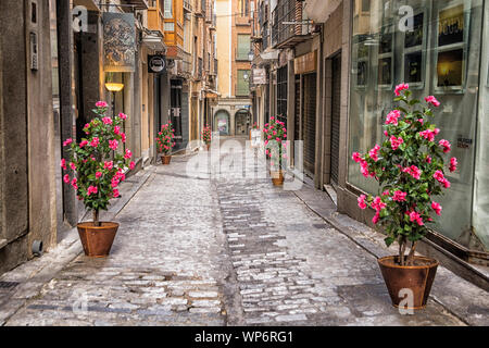 Eine gepflasterte Straße in der Stadt Toledo, Spanien. Auf beiden Seiten der Straßen sind Töpfe mit schönen rosa Blumen. Stockfoto