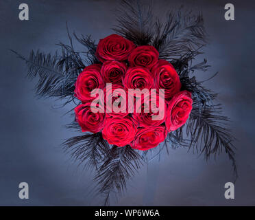 Ein Dutzend rote Rosen in einem Bündel mit Straußenfedern gekleidet Stockfoto