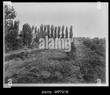 Lakeside Ranch des Betriebsleiter nach Hause, Obstgarten und Garten. Stockfoto