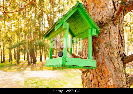 Kunststoff Flasche in einem Bird Feeder auf einem Baum - die Umwelt Stockfoto