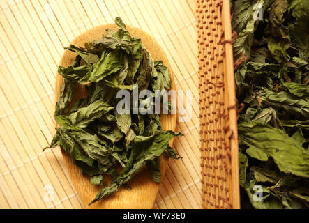 Natürliche und getrocknete Pfefferminze Blätter Tee in Löffel aus Holz, organische getrocknete Minze Blatt Stockfoto