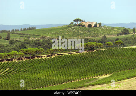 Blick auf die toskanischen Hügel in der Nähe der Stadt Montepulciano, Italien Stockfoto