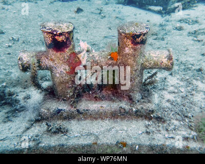 Das Wrack der P31 Patrouillenboot in Gozo, Malta Stockfoto