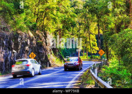 SUV-Pkw auf einem entfernten Wasserfälle, kurvenreiche Straße fahren durch üppige Blätterdach von DOrrigo National park Gondwana rainforest um Newell fallen Stockfoto