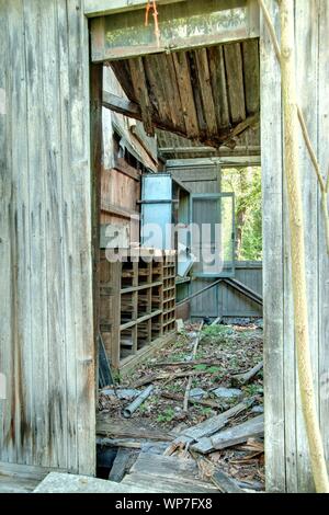 Paris, Nogent-sur-Marne, Bois de Vincennes, Jardin d'Agronomie tropicale Stockfoto