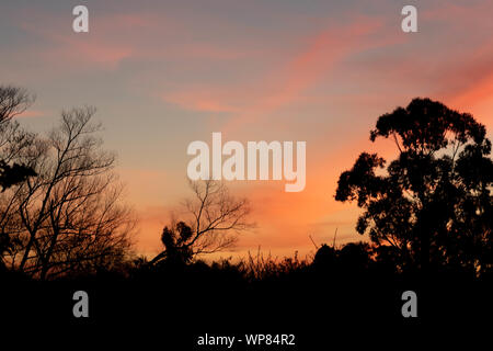 Sonnenuntergang Silhouetten und Farben in der Stadt von Santa Maria, RS, Brasilien. Herbstnachmittag mit rötlichen Farben am Horizont und Silhouetten von Bäumen. En Stockfoto