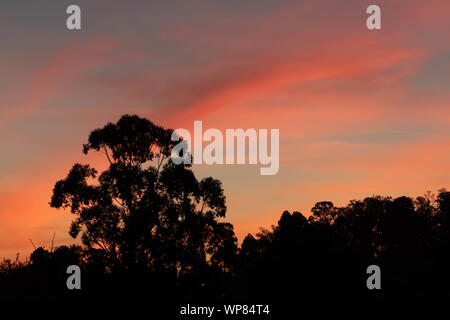 Sonnenuntergang Silhouetten und Farben in der Stadt von Santa Maria, RS, Brasilien. Herbstnachmittag mit rötlichen Farben am Horizont und Silhouetten von Bäumen. En Stockfoto