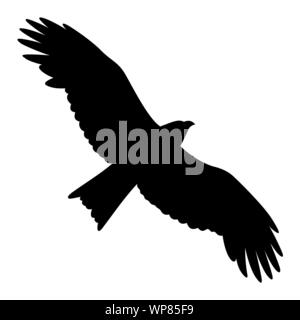 Adler Silhouette auf weißem isoliert. Vector Illustration Stock Vektor