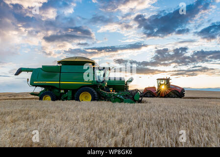 Swift Current, SK/Kanada - Aug 25, 2019: Sunburst über kombinieren und Korn Warenkorb Weizen ernten in Saskatchewan Stockfoto