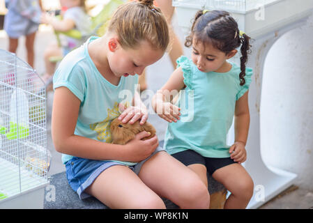 Jugendlicher kind Holding eine niedliche kleine weiße Kaninchen. Zwei glückliche junge Mädchen spielen mit Kaninchen. Stockfoto