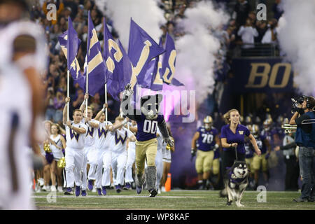 Seattle, WA, USA. 7. Sep 2019. Harry der Husky und Dubs führen die Schlittenhunde aus dem Tunnel vor einem Spiel zwischen den Kalifornien goldenen Bären und Washington Schlittenhunde in Alaska Airlines Feld bei Husky Stadium in Seattle, WA. Sean Brown/CSM/Alamy leben Nachrichten Stockfoto