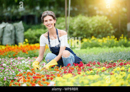 Freundliche hübsche Frau, die durch das Tragen von schützender Kleidung und Handschuhe beim Arbeiten mit Plänen und Blumen in Ihrem Garten Stockfoto