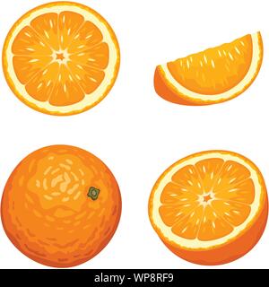 Vector Illustration der ganze und aufgeschnittene orange Früchte auf einem weißen Hintergrund. Stock Vektor