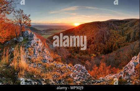 Schöne orange und rot Herbst Wald Berg, viele Bäume auf die orange Hills, Slowakei Stockfoto
