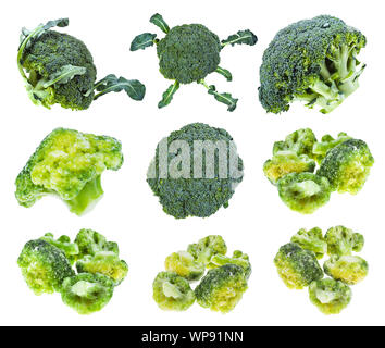 Verschiedene frische und tiefgefrorene Brokkoli auf weißem Hintergrund Stockfoto