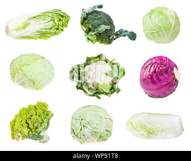 Verschiedene Kopfkohl (Romanesco, Brokkoli, Blumenkohl, Weißkohl, Rotkohl, Napa, Kohl, Wirsing) auf weißem Hintergrund Stockfoto