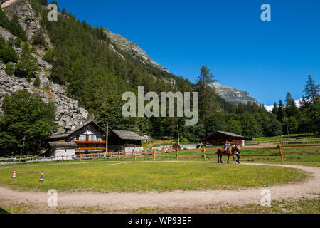 Blicke von Gressoney, Aosta, Aostatal, Italien Stockfoto