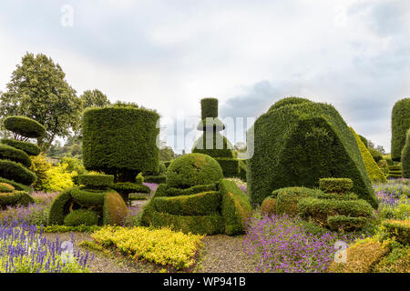 Älteste formgehölze Park in der Welt mit fantastisch geformten Pflanzen am Levens Hall in Cumbria, Großbritannien. Stockfoto