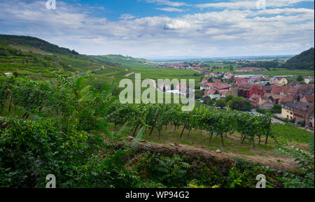 Malerische Dorf von Kaysersberg im Elsass in Frankreich Stockfoto