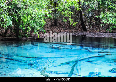 Blue Pool Provinz Krabi eine der erstaunlichen im Süden von Thailand. Wählen Sie konzentrieren. Stockfoto