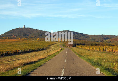 Der alte Weg führt durch die Weinberge die Landschaft Landschaft Vrsac Serbien Stockfoto