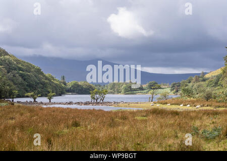 Llyn Cynwch See auf der beliebten Abgrund gehen, Snowdonia National Park, North Wales, UK Stockfoto