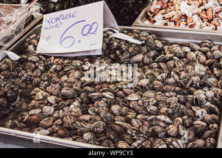 Meer Muscheln auf den traditionellen Fischmarkt, Palermo, Sizilien, Italien Stockfoto