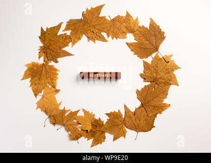 Herbst Komposition. Kranz, Blätter im Herbst auf grauem Hintergrund. Herbst, Herbst, Thanksgiving Day Konzept. Flach, Ansicht von oben, kopieren Raum Stockfoto