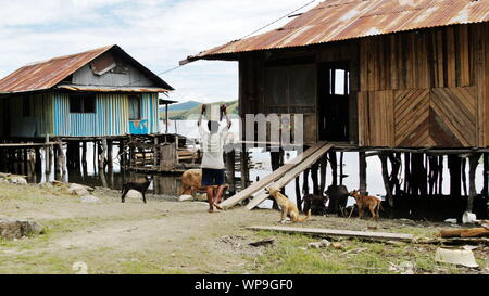 Frau, die einen Eimer auf dem Kopf in Doyo Lama, West Papua, Indonesien Stockfoto