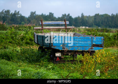 Eine Alte verrostete trailer steht auf einem Feld Stockfoto