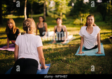 Yoga Mädchen im Stadtpark sind Übung dehnen in Pose Urdhva Mukha Shvanasana Stockfoto