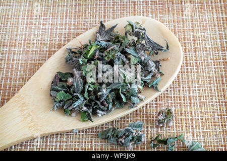 Motherwort - eine Heilpflanze mit einen beruhigenden Effekt Stockfoto