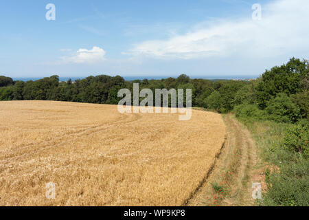 Ländliche Landschaft entlang der Küste von Mecklenburg Western-Pomerania, Deutschland Stockfoto