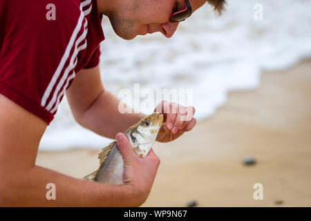 Ein Meer angler unhooks ein Fisch vor der Rückgabe an das Meer. Stockfoto