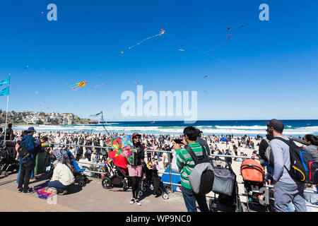 Festival der Winde, Bondi Beach, Sydney. Australiens größter kite Festival. Stockfoto